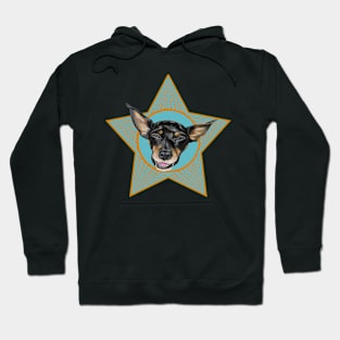 FOSTER (Orange & Teal) Hoodie